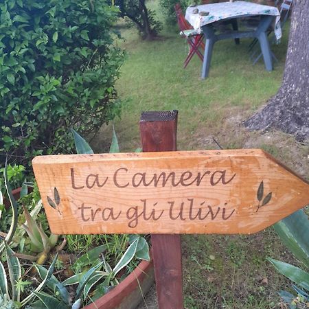 La Camera Tra Gli Ulivi Dream Finale Finale Ligure Kültér fotó