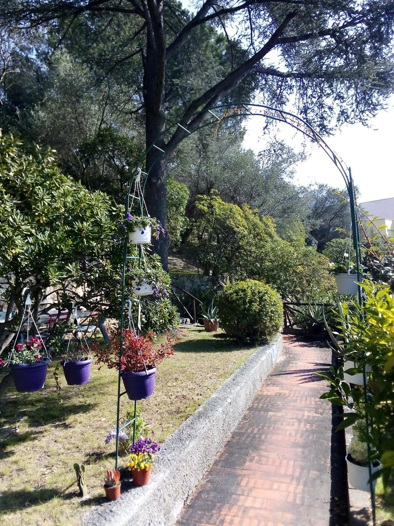 La Camera Tra Gli Ulivi Dream Finale Finale Ligure Kültér fotó
