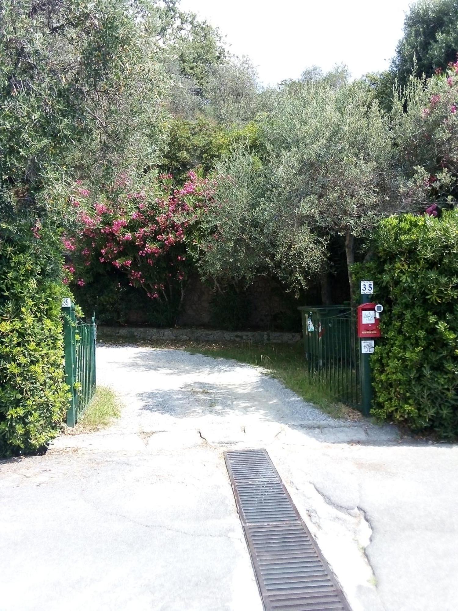 La Camera Tra Gli Ulivi Dream Finale Finale Ligure Kültér fotó