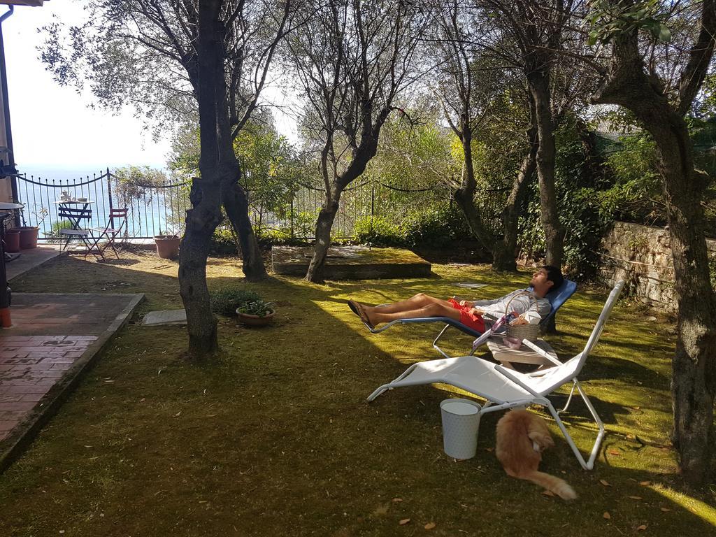 La Camera Tra Gli Ulivi Dream Finale Finale Ligure Kültér fotó